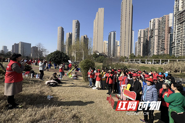 雨花家园社区：党建引领聚合力，携手植树添新绿