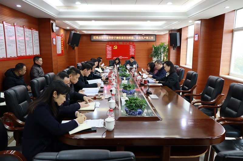 区联点领导督导砂子塘街道信访稳定、安全生产、防一氧化碳中毒等重点工作